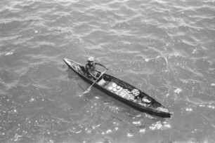Fischer im Hafen von Aden : Mann im Paddelboot mit Muscheln beladen