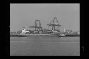 TFL Adams (1981), Artimon Shipping, Elsfleth