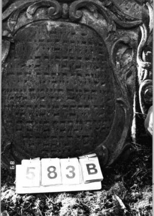 Grabstein 583 (Index: 99753076) Material: Sandstein Zustand: leicht verwittert Maße HxBxT: 116x68x10 cm Beschreibung: Stele, geschwungen eingezog. Rundbogenabschluß, ovales Schriftfeld Symbolik: Muschel, Ranken, Schriftband: Grabstein 583B