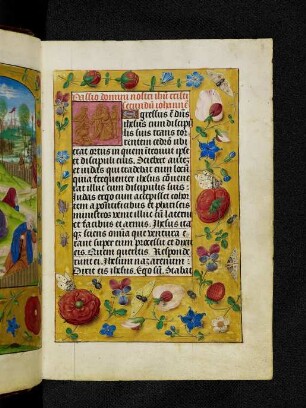 Vollbordürenseite mit Streumusterbordüre und Textanfangsminiatur: Gefangennahme Jesu