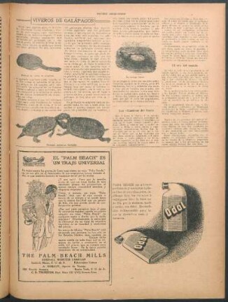 Las vitaminas del limón