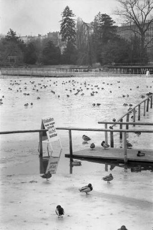 Winterstimmung im Karlsruher Stadtgarten