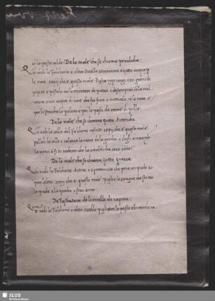 Blatt 75
