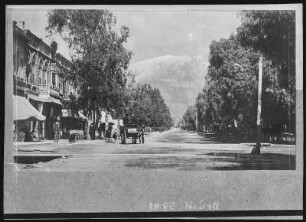 Ontario. Euclid Ave., Ontario, Cal. Showing Snow Peak