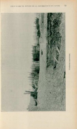 Tríncheras ínsurrectas
