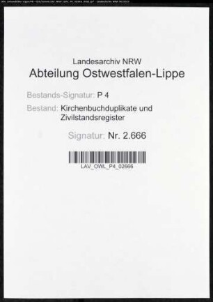 Kirchenbuchduplikat der evangelischen Stadtgemeinde Laasphe (GHT 1867-1874). (Gemeinde: Laasphe, evangelische Stadtgemeinde)