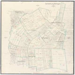 Landschaftsaufbauplanung Bellingen: Gemarkung Bellingen 1:1000