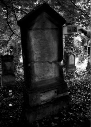 Grabstein 32 (Index: 100109253) Material: Sandstein Zustand: völlig verwittert, Schriftplatte fehlt, Stele zerbrochen und repariert Maße HxBxT: 182x71x23 cm Beschreibung: Stele, getreppter Sockel, giebelartiger Abschluß: Grabstein 32