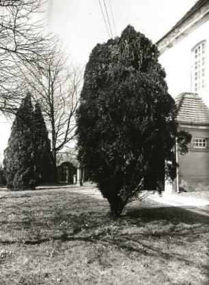 Stolpen. Friedhof an der Stadtkirche