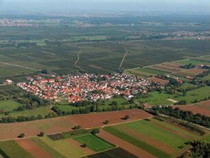 Venningen (Pfalz)