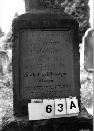Grabstein 63 (Index: 100096188) Maße HxBxT: 193x54x23 cm Symbolik: Baumstamm: Grabstein 63A