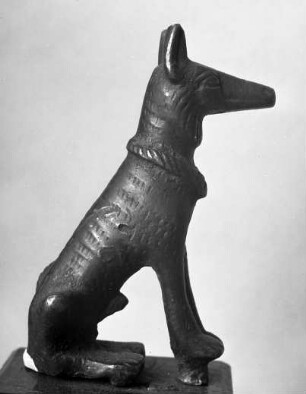 Hund