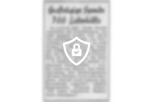 Großzügige Spende - 300 Lederbälle