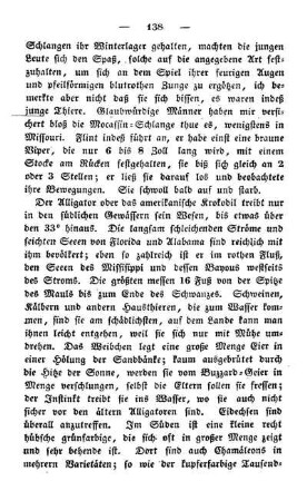 Insekten
