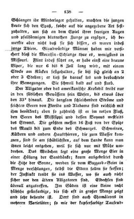 Insekten