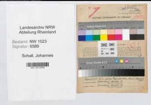 Entnazifizierung Johannes Schall , geb. 18.07.1892 (Stadtinspektor)