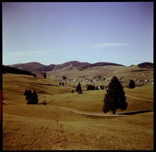 Bernau: Bernauer Tal, gegen Westen