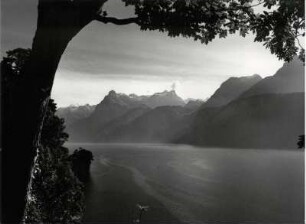Vierwaldstätter See, Blick auf den Urner See