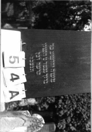 Grabstein 54 (Index: 99793123) Material: schwarzer Granit Zustand: gut Maße HxBxT: 191x38x21 cm Beschreibung: Obelisk, getreppter Sockel, Grabeinfassung: Grabstein 54A