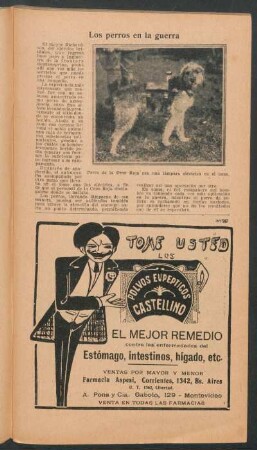 Los perros en la guerra