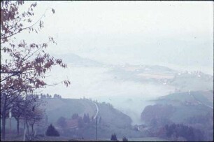 Blick auf Horben
