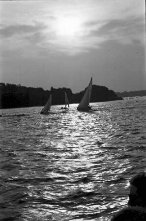 Berlin; Wannsee: Abenstimmung mit Segler auf dem Wannsee