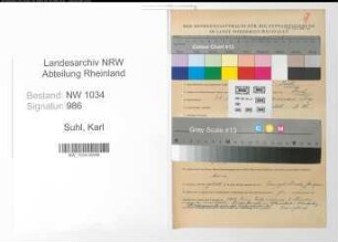 Entnazifizierung Karl Suhl , geb. 29.08.1906 (Stabsintendant)
