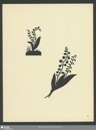 [Pflanzen und Blumen]