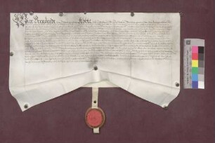 Abt Bernhard von St. Gallen übergibt Hans Dietrich von Hohenlandenberg das Schloß Schneeburg mit dem Bauhof und die Vogtei Ebringen, Talhausen und Berghausen als Mann- und Stammlehen.