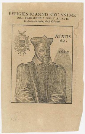 Bildnis des Ioannis Riolani