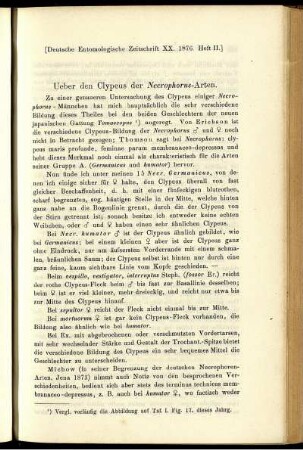 Ueber den Clypeus der Necrophorus-Arten