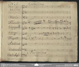 Cavatina: "Mi dicevan che l'amore giubilar facesse"