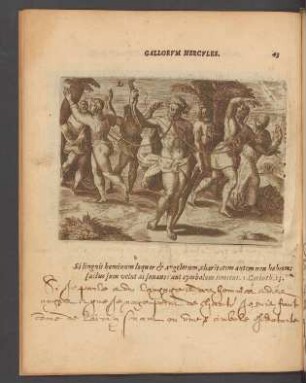 43. Gallorum Hercules.