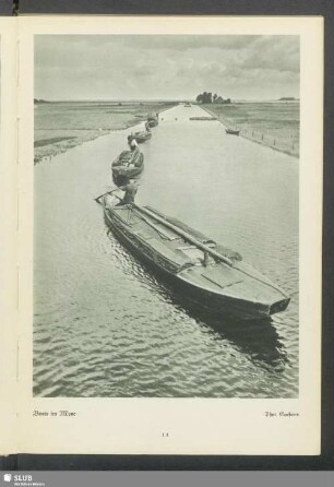 Boote im Moor