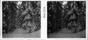 Winter im Schwarzwald