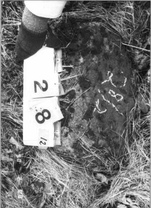 Grabstein 28 (Index: 100114945) Zustand: Fragment Beschreibung: Fragment: Grabstein 28/2