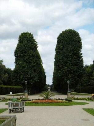 Dresden: Schloßpark Pillnitz