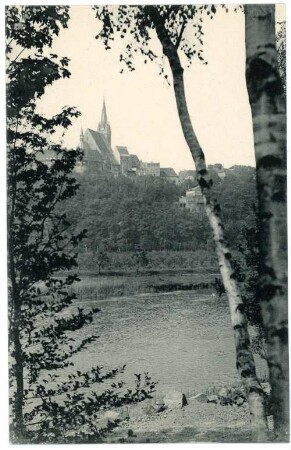 Leisnig. Blick auf die Stadtkirche