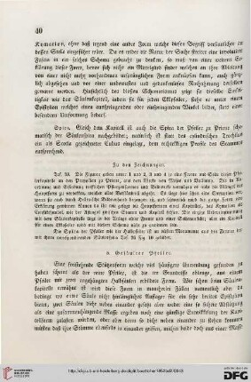 5: Gesäulter Pfeiler