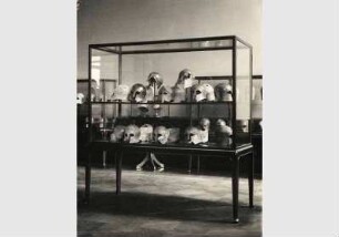 Aufstellung der Antikensammlung im Alten Museum, Antiquarium, Saal 2, Sammlung antiker Helme aus der Sammlung von Freiherr von Lipperheide