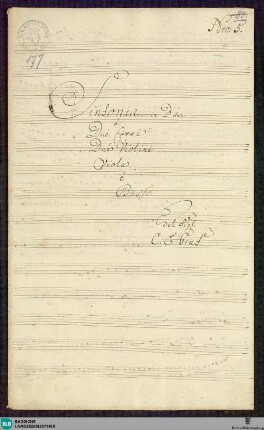 Symphonies - Mus. Hs. 177 : vl (2), vla, cor (2), b; D