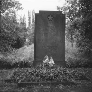 Neuer / -ußerer Matthäus- / Friedrichstädter Friedhof & Bremer Straße