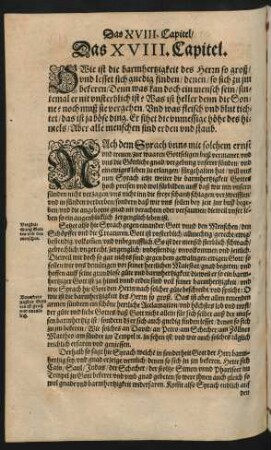 Das XVIII. Capitel.