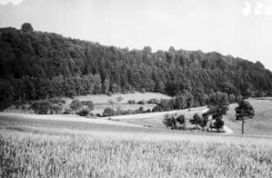 Bernstadt und Umgebung