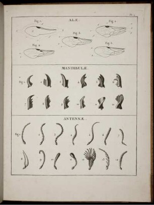 PI. 1. [bis] PI. 14. [Abb. siehe arabische Paginierung.]