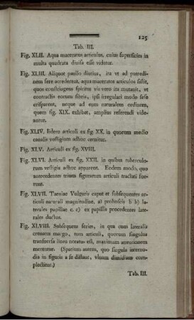 Tab. III. [Abb. siehe römische Paginierung]