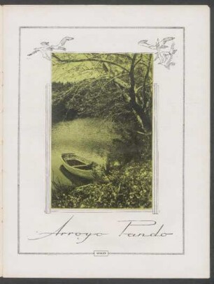"Arroyo Pando" - [Ilustración]