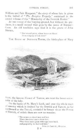 Ruins of Dryhope Tower.