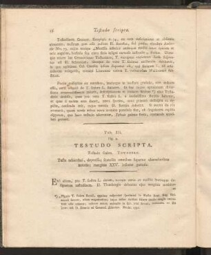 Tab. III. Fig. 2. :Testudo Scripta