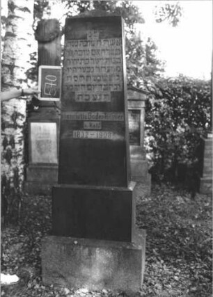 Grabstein 570 (Index: 100111476) Material: Granit Zustand: gut Maße HxBxT: 210x59x27 cm Beschreibung: Obelisk, getreppter Sockel Steinmetz: Seiter: Grabstein 570
